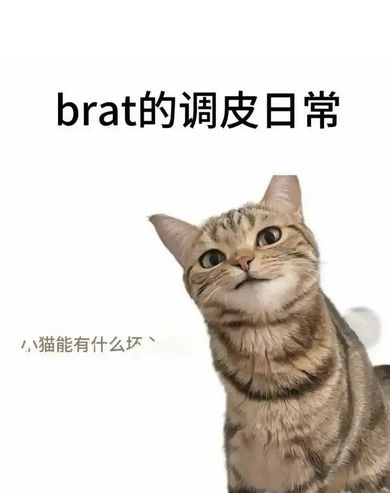 西檬之家-字母圈大圈是什么意思？