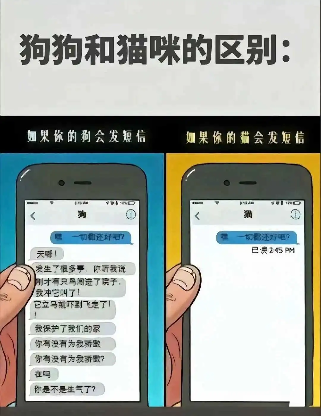 西檬之家-BDSM字母圈TK实践指南