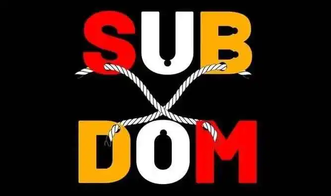 西檬之家-字母圈新人入圈：BDSM安全指南