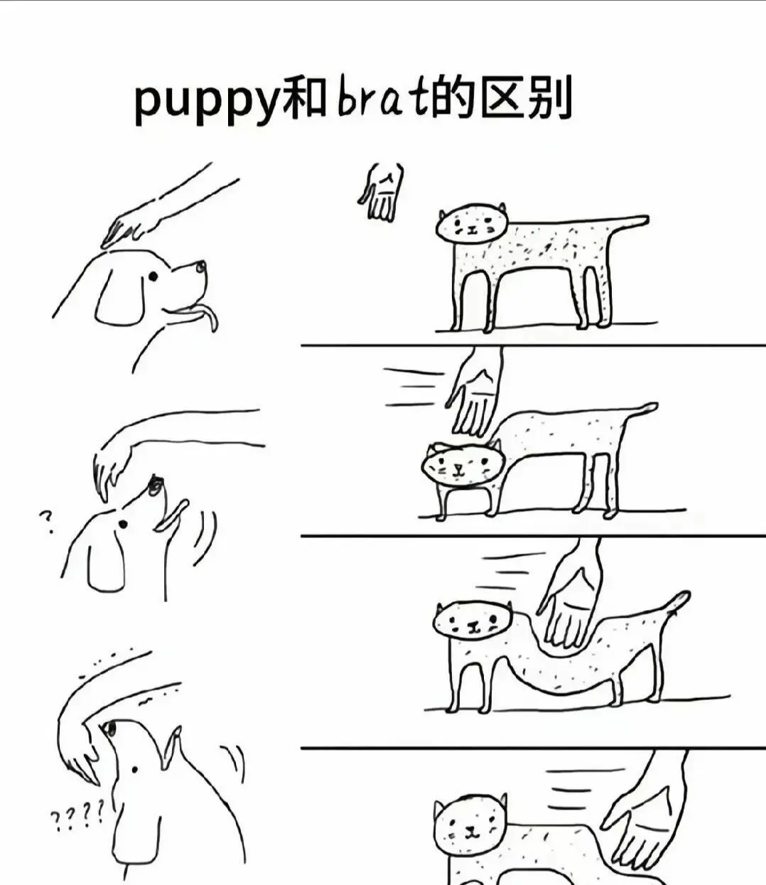 西檬之家-字母圈K8是什么？深度解析猫系角色扮演