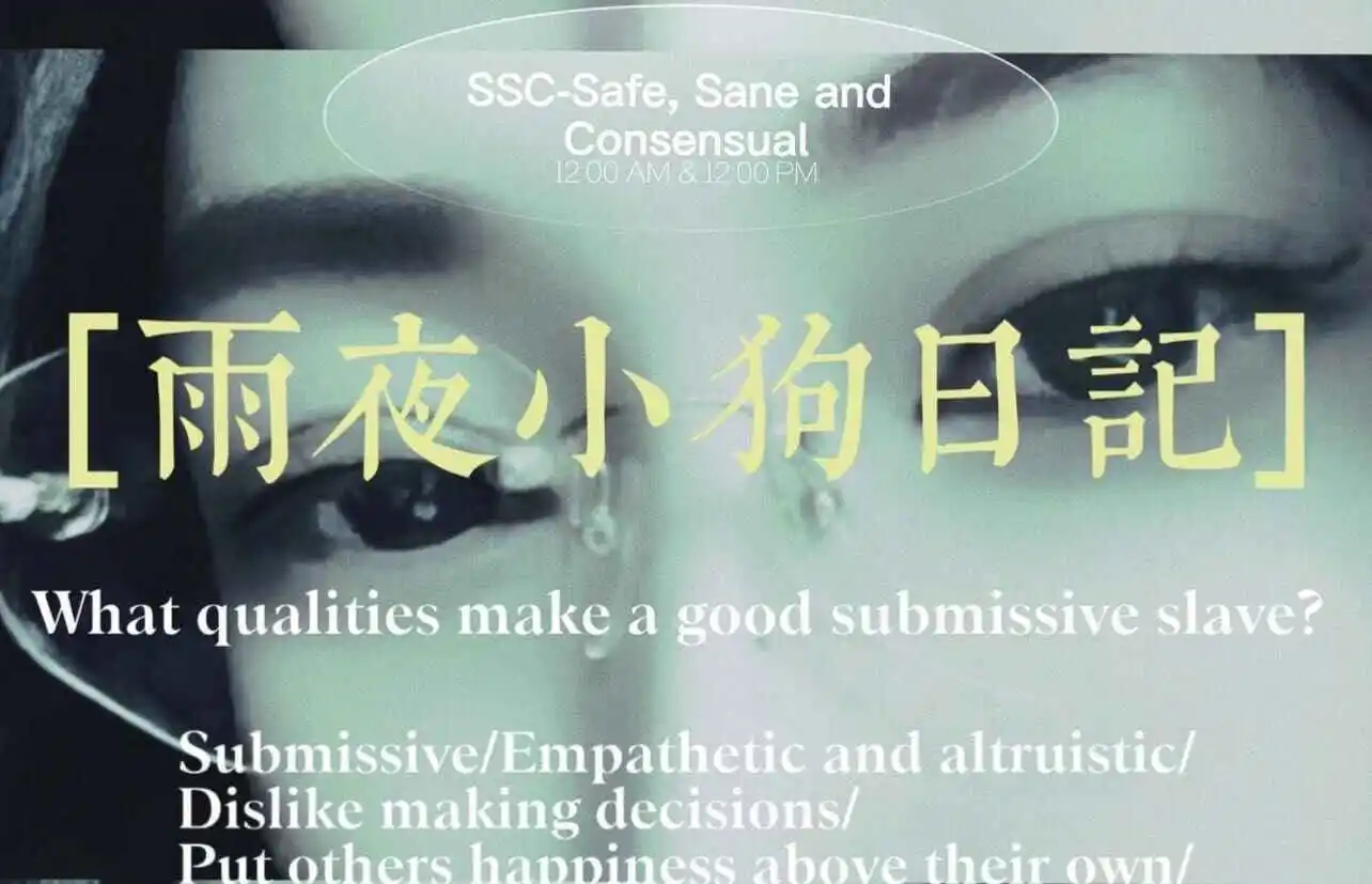 BDSM：实用指南