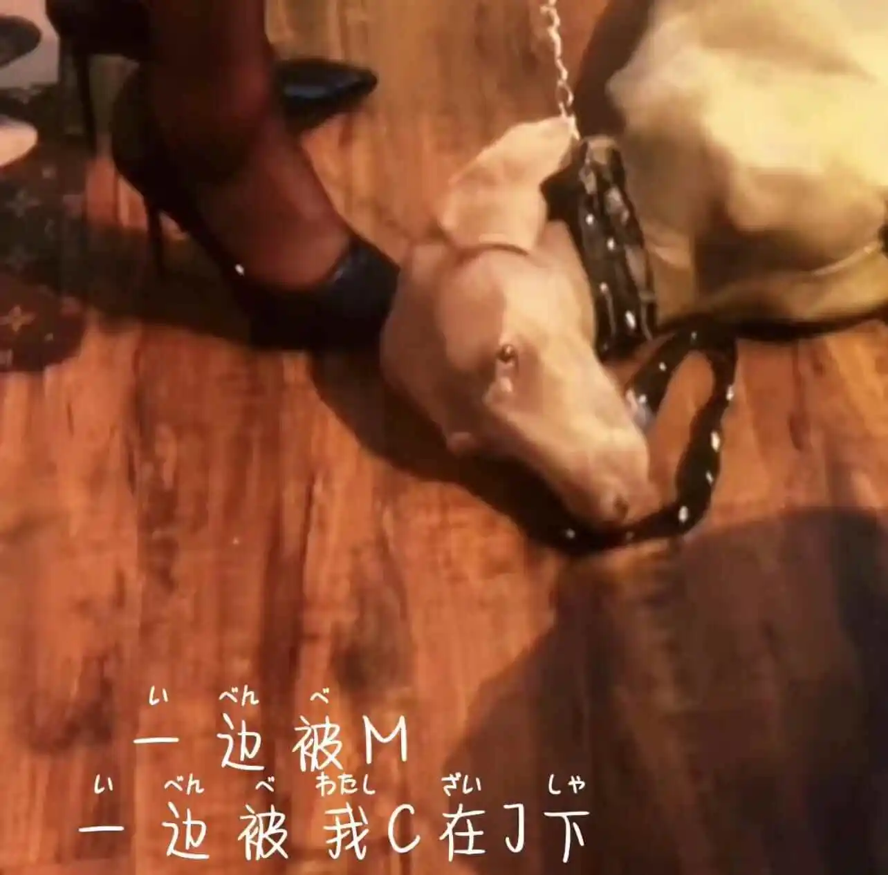 西檬之家-DDLG是什么？字母圈属性全解析