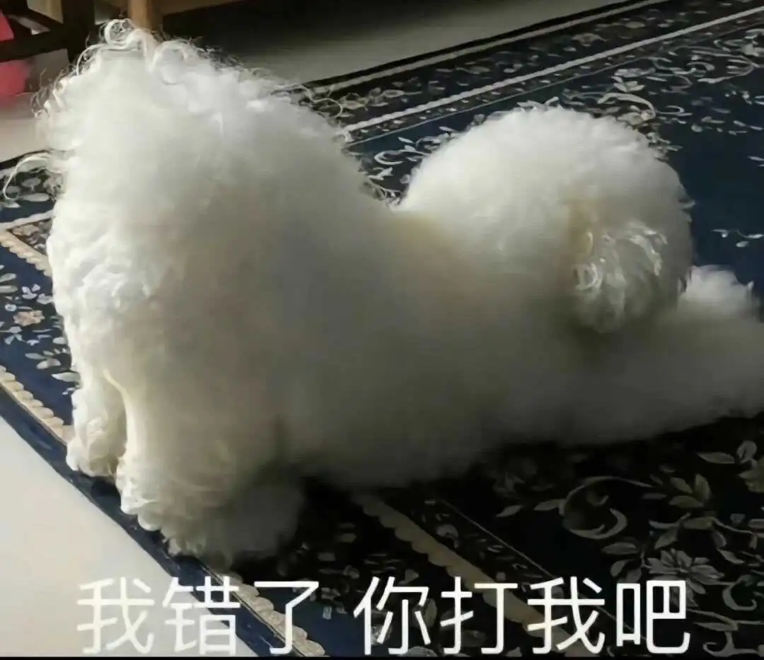 【西檬之家】字母圈管教指南：SSC原则与核心术语解析