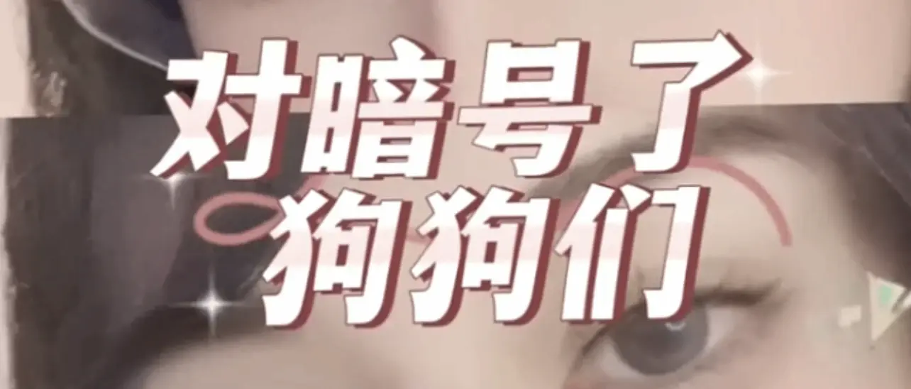 西檬之家-DT是什么？字母圈新人入圈指南