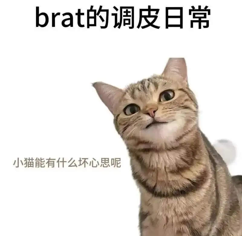 西檬之家-大圈是什么？BDSM核心概念解析
