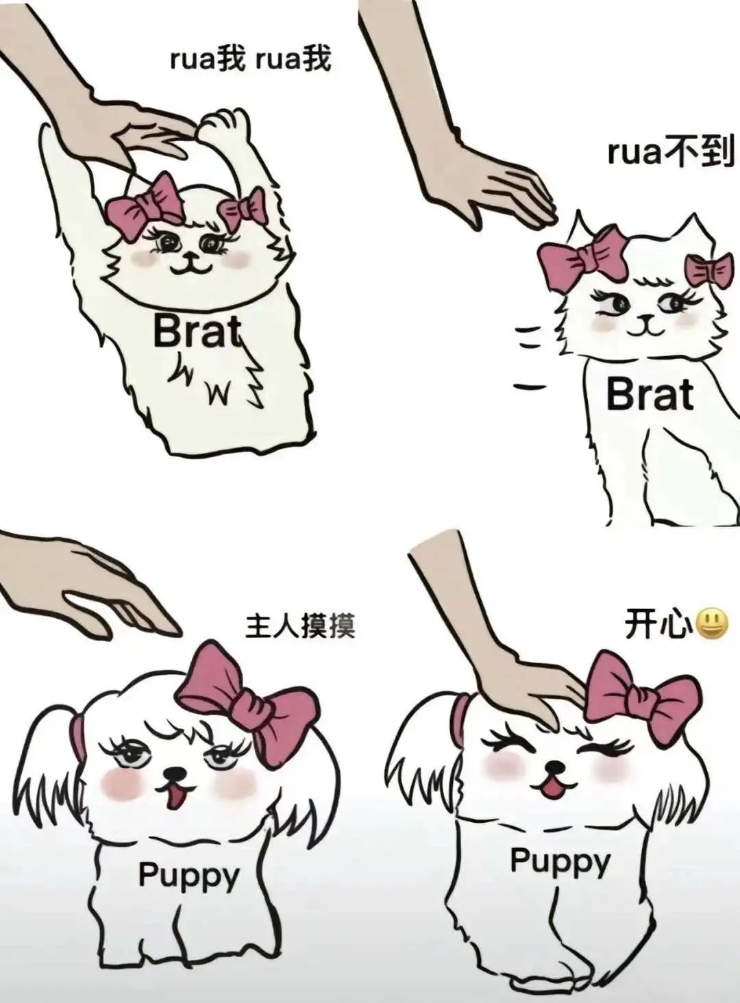 西檬之家-BDSM字母圈DT是什么？新人入圈指南
