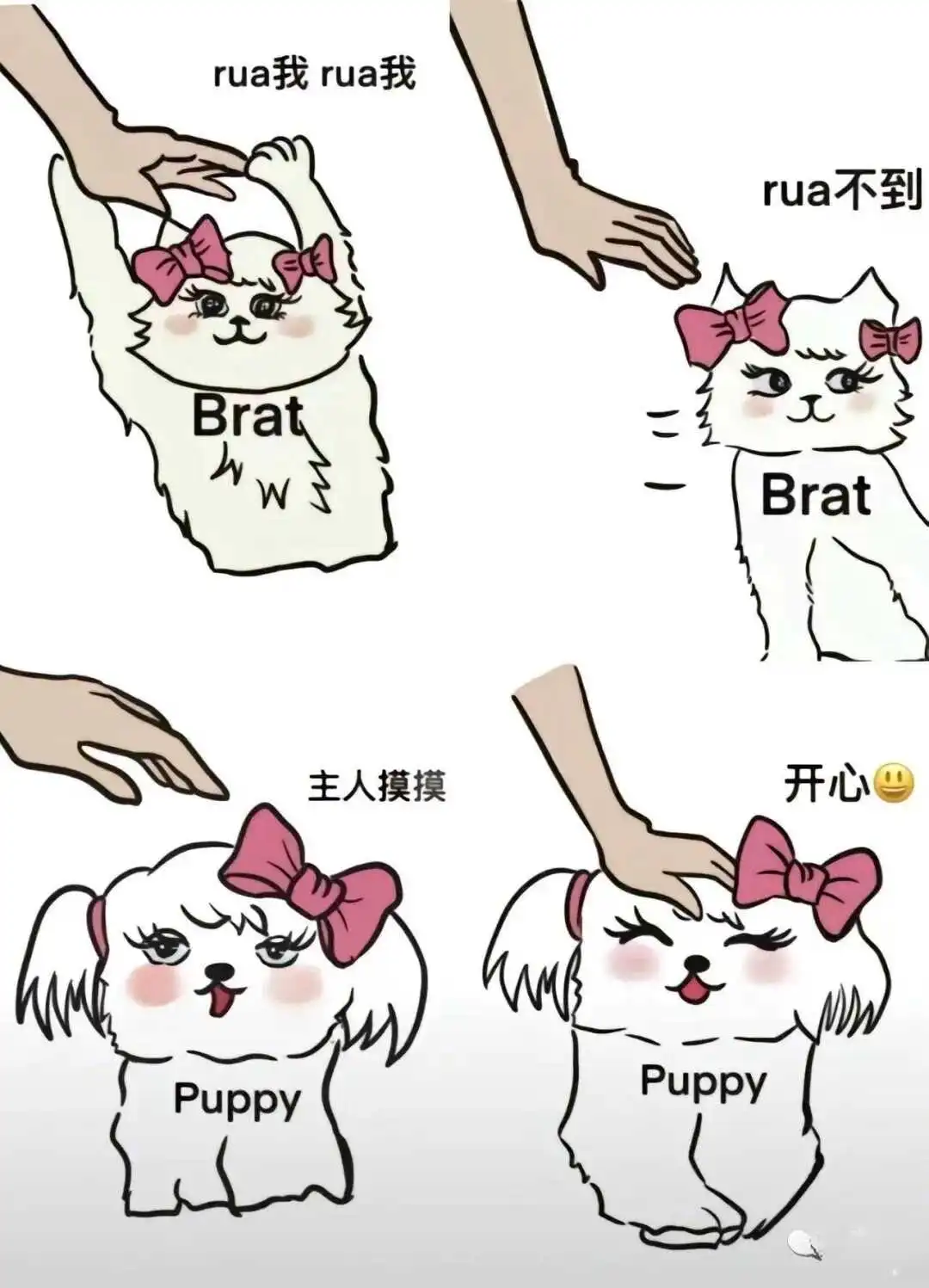 西檬之家-字母圈新人入圈指南：BDSM基础知识解析